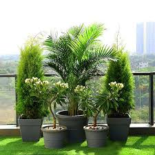 outdoor1